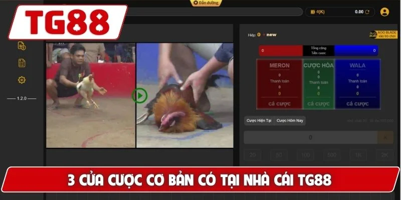 3 cửa cược cơ bản có tại nhà cái TG88