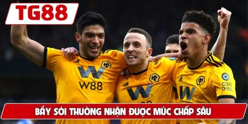 Wolverhampton Wanderers: Tin Tức Và Kèo Cược Wolver Tại TG88 7 Bầy Sói thường nhận được mức chấp sâu