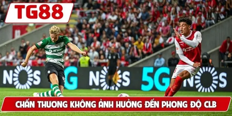 Sporting CP: Kèo Cược Và Tin Tức Mới Nhất Cập Nhật Tại TG88 8 Chấn thương không ảnh hưởng đến phong độ CLB