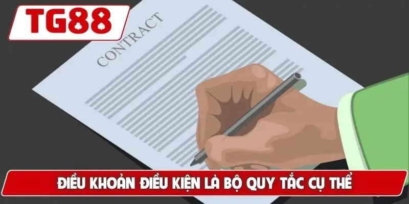 Điều Khoản Điều Kiện TG88 - Các Chuẩn Mực Khi Tham Gia Cược 5 Điều khoản điều kiện là bộ quy tắc cụ thể