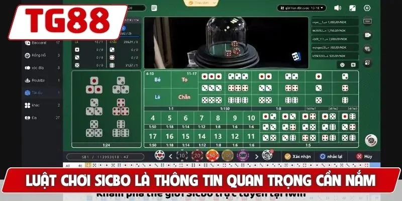 Cược Sic Bo Hấp Dẫn Tại TG88 - Cơ Hội Thắng Lớn Mỗi Ngày 6 Luật chơi sicbo là thông tin quan trọng cần nắm chắc