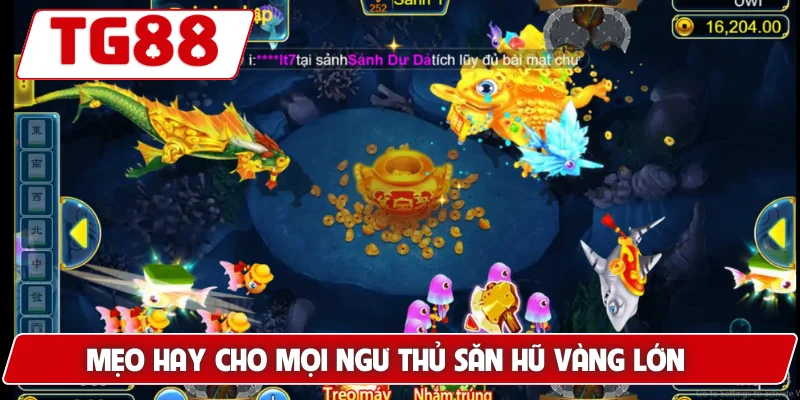 Mẹo hay cho mọi ngư thủ săn hũ vàng lớn