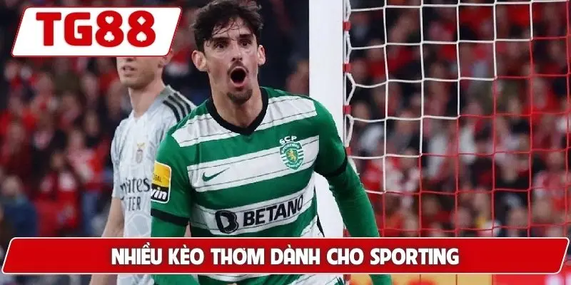 Sporting CP: Kèo Cược Và Tin Tức Mới Nhất Cập Nhật Tại TG88 9 Nhiều kèo thơm dành cho Sporting