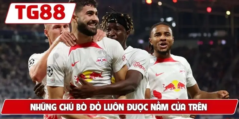 Những chú bò đỏ luôn được nằm cửa trên