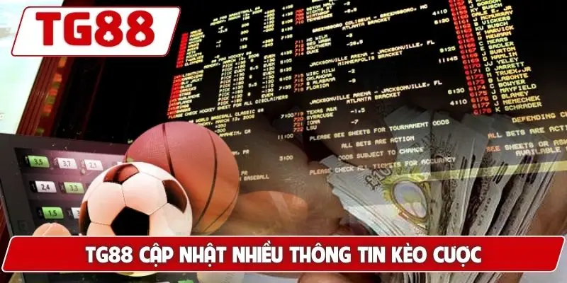 Brighton Và Hove Albion: Cập Nhật Kèo Cược Brighton Tại TG88 9 TG88 cập nhật nhiều thông tin kèo cược