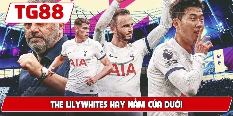 Tottenham: Tin Tức Mới Và Kèo Cược Hôm Nay Tại Nền Tảng TG88 9 The Lilywhites hay nằm cửa dưới
