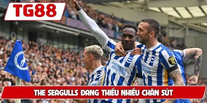Brighton Và Hove Albion: Cập Nhật Kèo Cược Brighton Tại TG88 8 The Seagulls đang thiếu nhiều chân sút